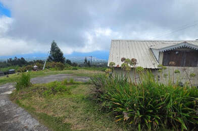 Terrain  377000 €