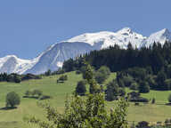T4 COMBLOUX — photo 2