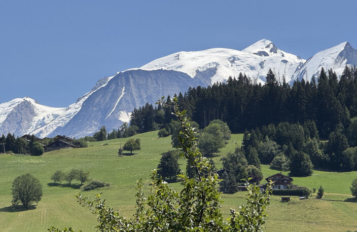 T4 COMBLOUX — photo 2
