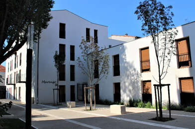 Appartement 3 pièces 800 €
