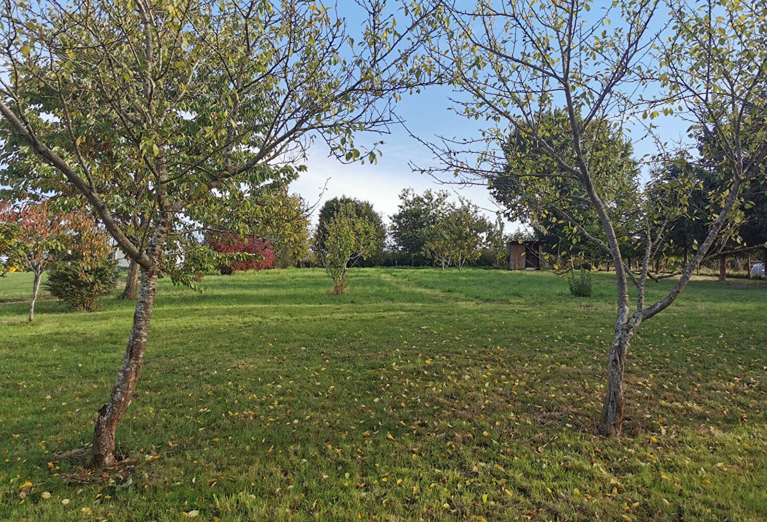 Terrain Saint Paterne Racan — photo 1