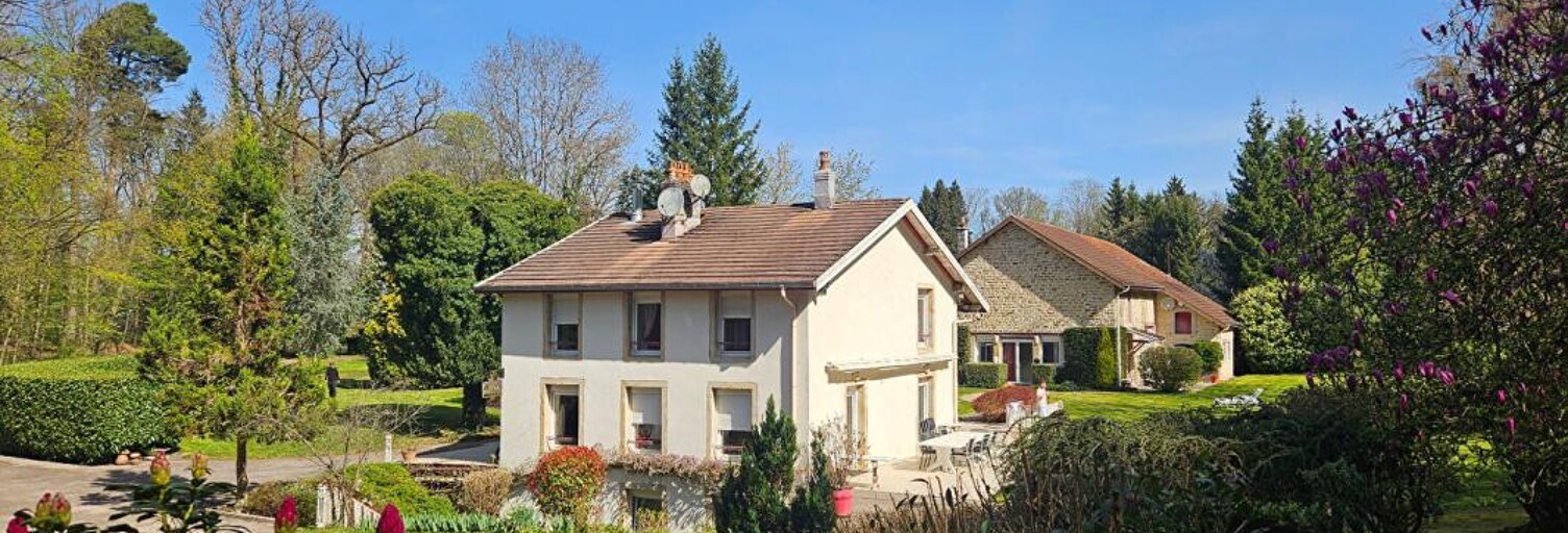 Maison 9 Pièces 232 m² à vendre à Épinal (88000)