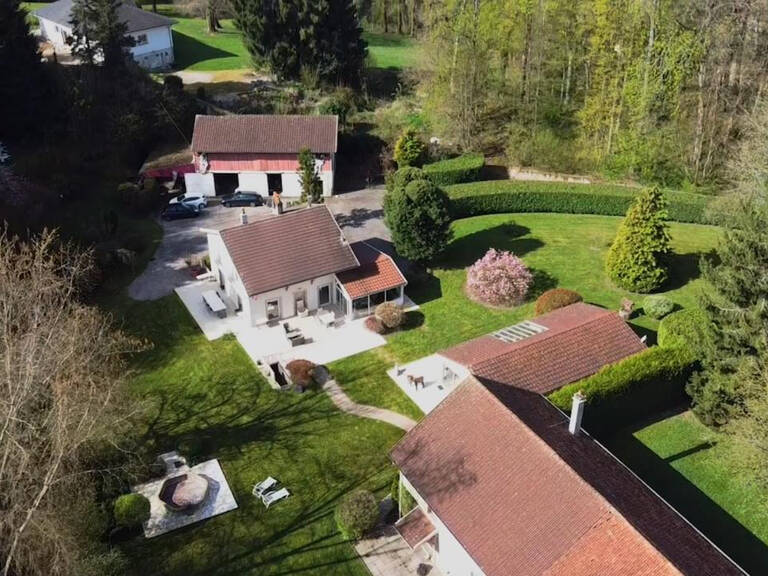 Magnifique propriété arborée au coeur d'Epinal — photo 1