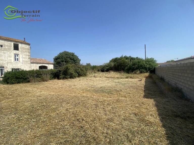 Terrain — photo 1
