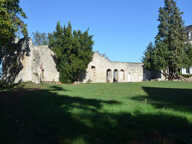 Propriété sur près de 2ha ! — photo 3