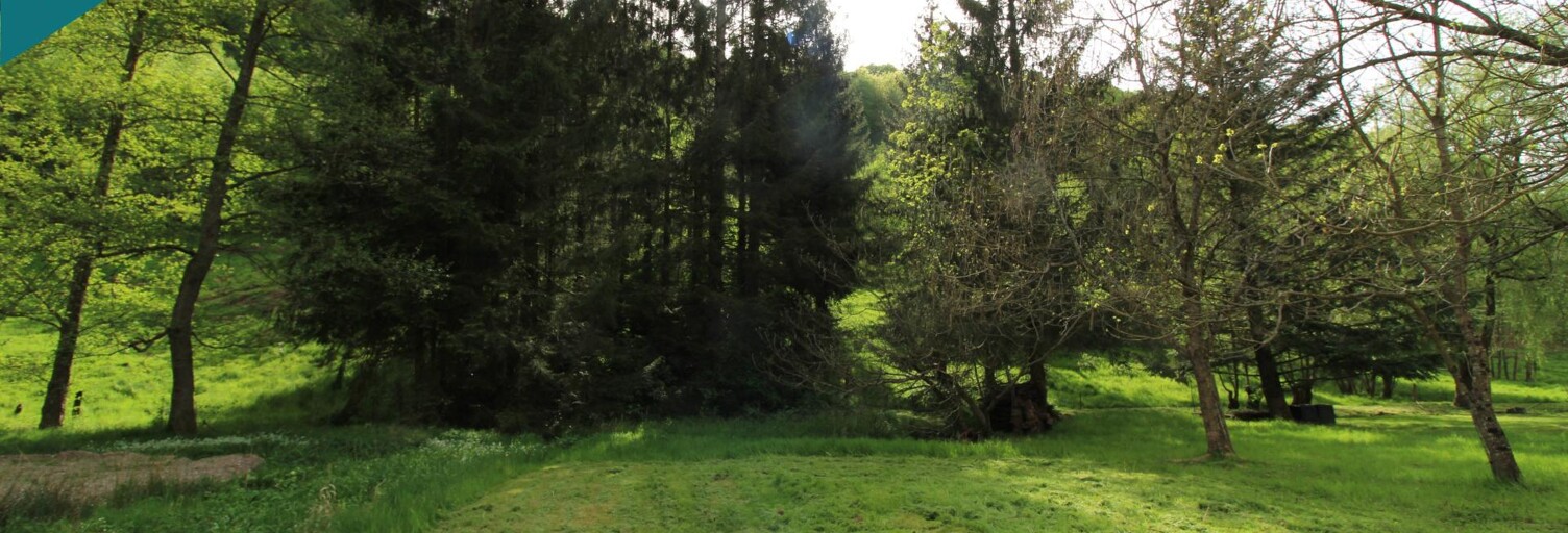 Terrain  453 m² à vendre à Frohmuhl (67290)