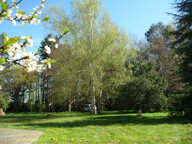 Maison de campagne sur 1,5 ha ! — photo 3