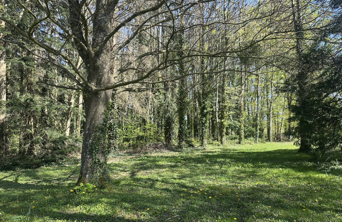 Maison de campagne sur 1,5 ha ! — photo 5