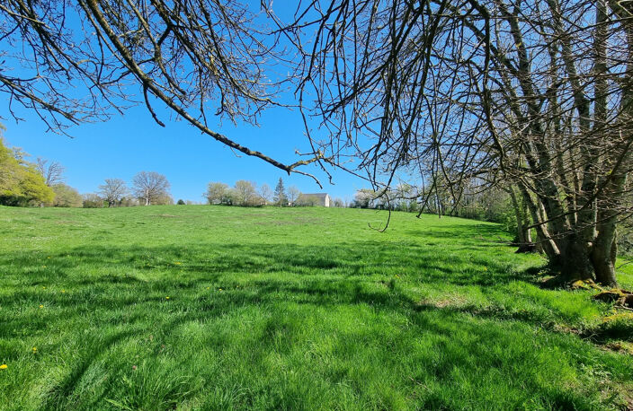 Propriété isolée sur 3ha ! — photo 5