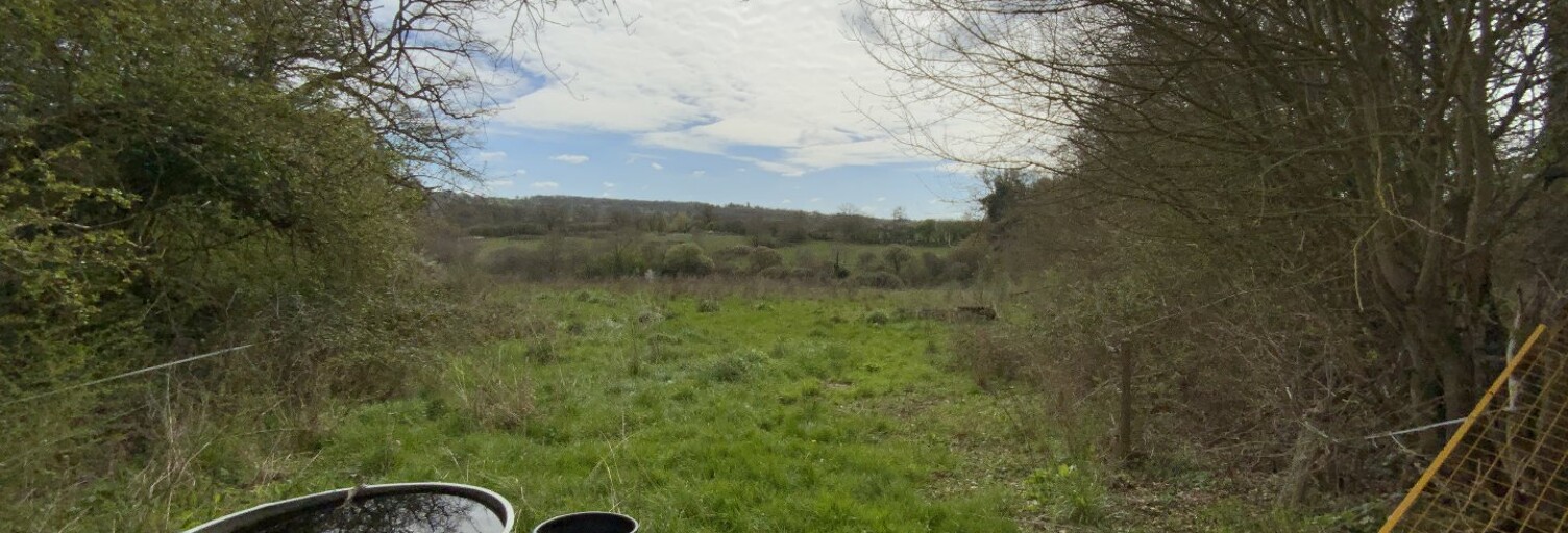 Terrain  34000 m² à vendre à Chassignolles (36400)