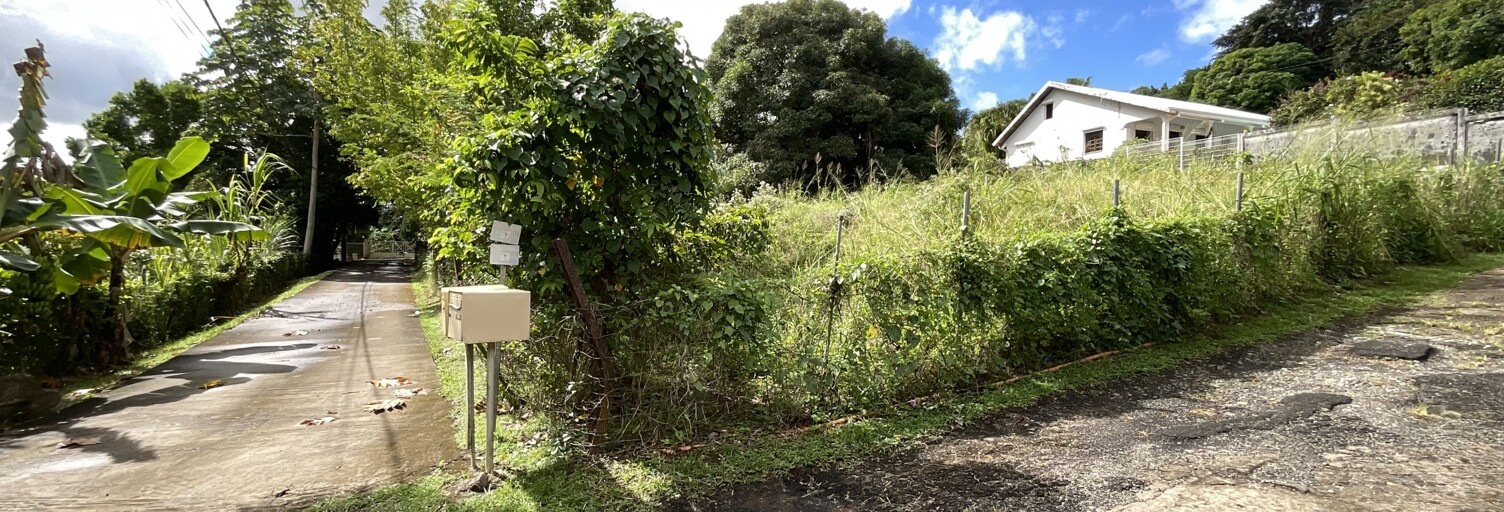 Terrain  600 m² à vendre à Ducos (97224)