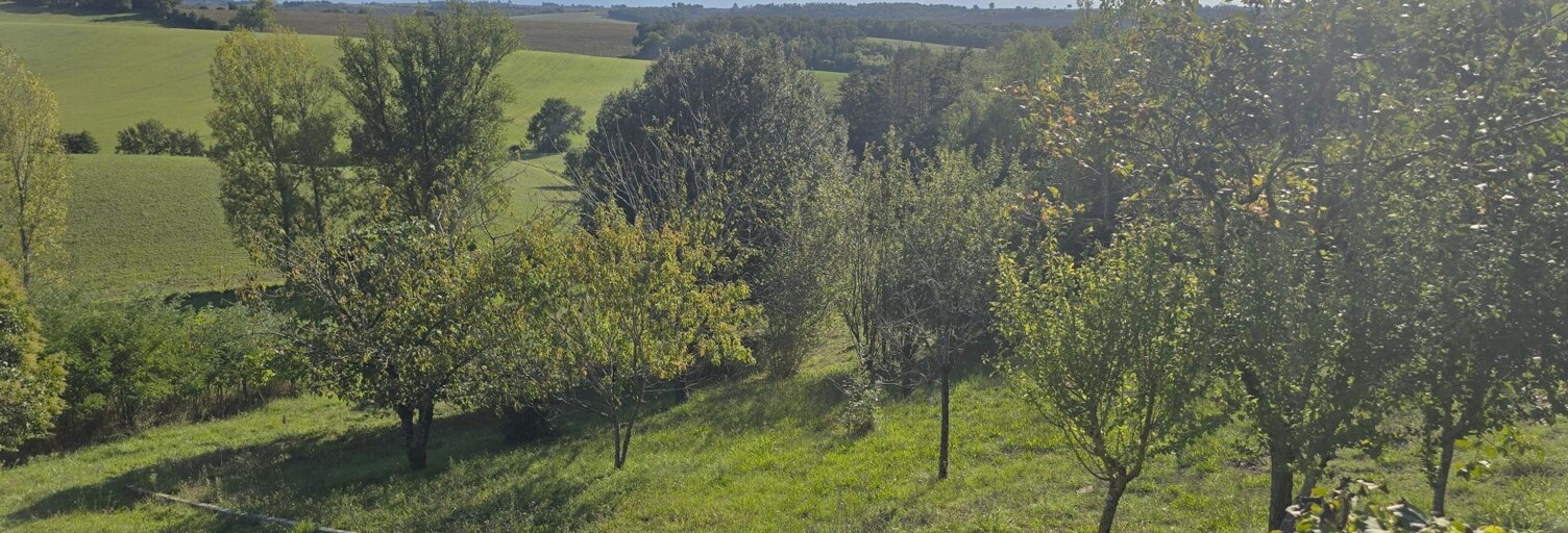 Terrain  3700 m² à vendre à Nailloux (31560)