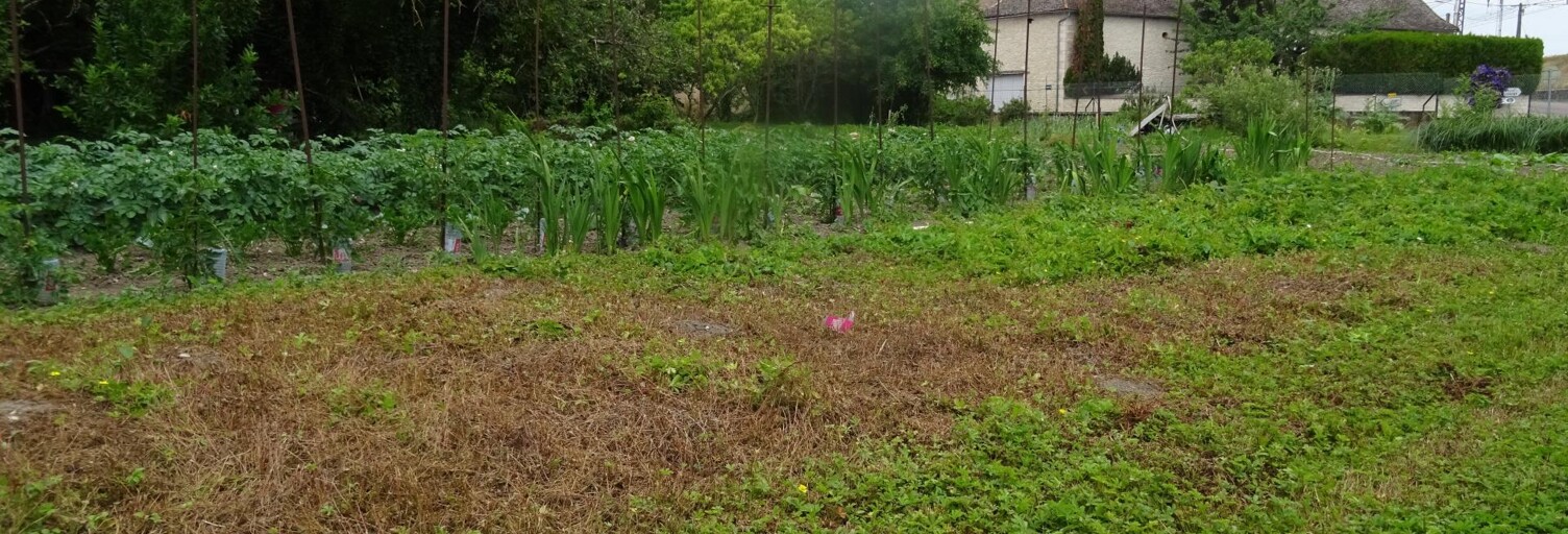 Terrain  2300 m² à vendre à Fontaines (71150)
