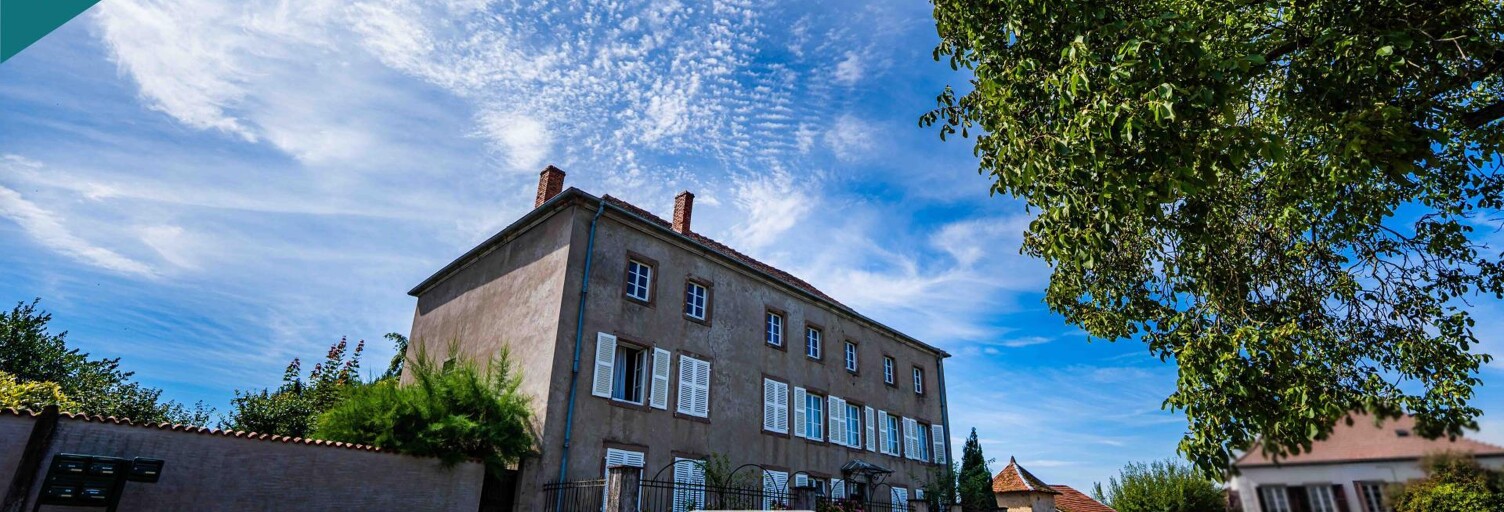 Maison 13 Pièces 332 m² à vendre à Albestroff (57670)