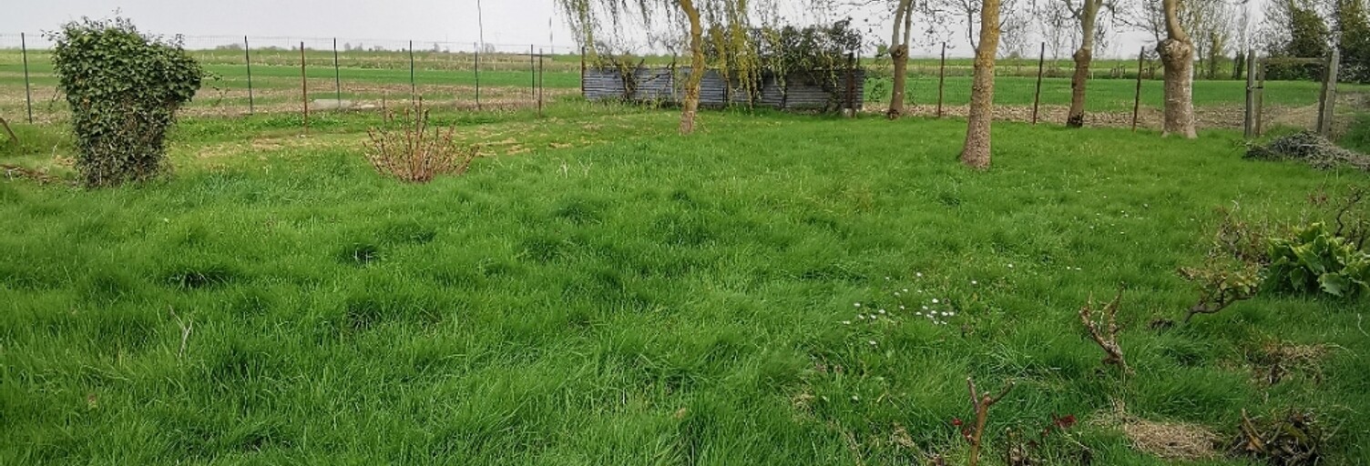 Maison 5 Pièces 140 m² à vendre à Esnandes (17137)