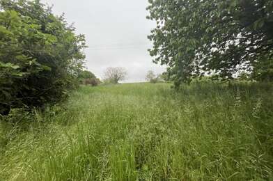 Terrain  19500 €