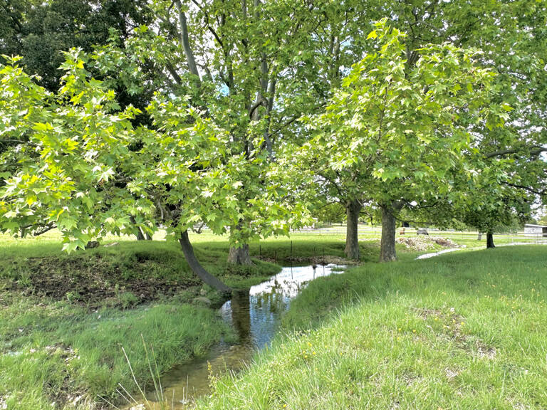 Domaine d’exception sur un terrain 8 hectares propriété Clarensac 216 m2 5 Pièces 4 Chambres — photo 1