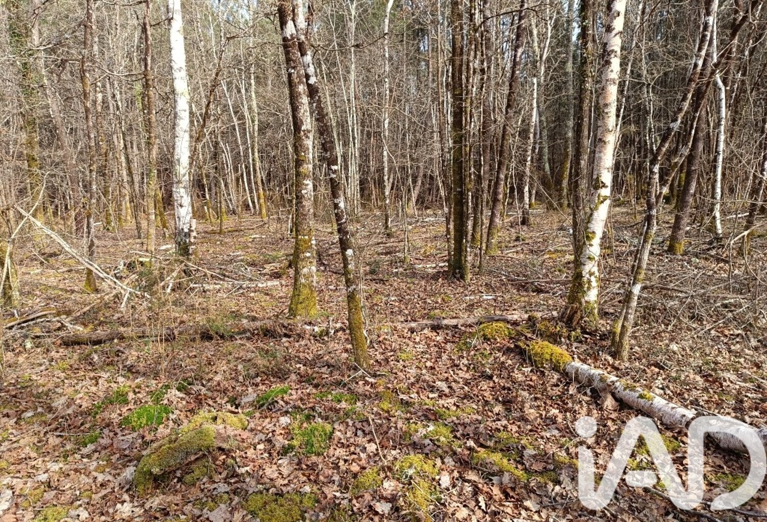 Vente Terrain 7 302 m&sup2; — photo 1