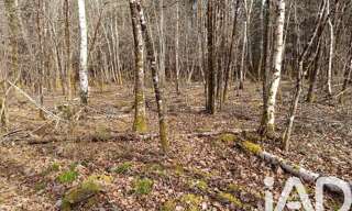 Terrain  7302 m² à vendre à Lesparre-Médoc (33340)