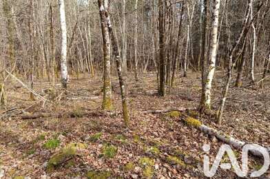 Terrain  17000 €