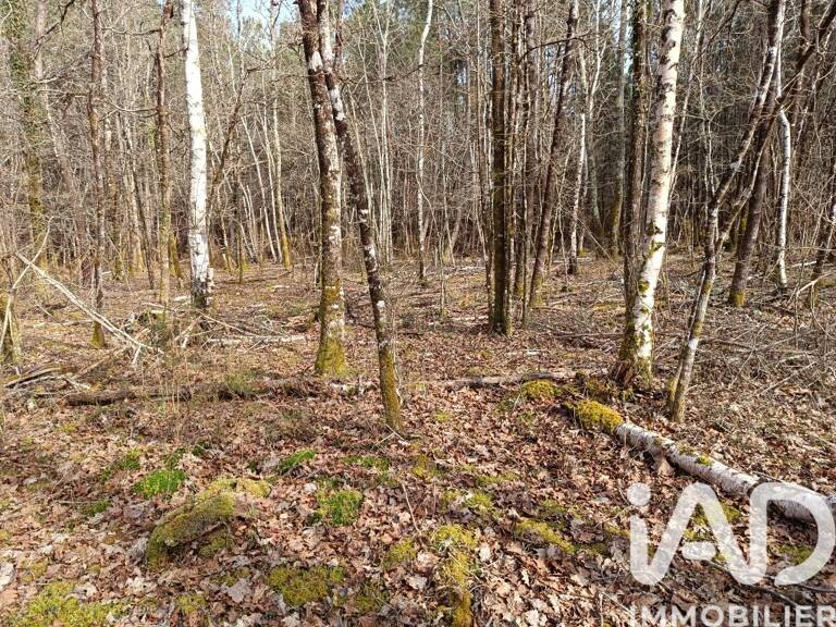 Vente Terrain 7 302 m&sup2; — photo 1