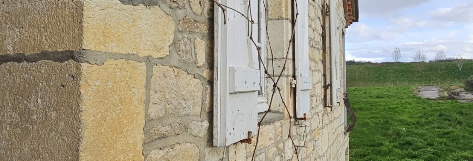 Photo N° 2