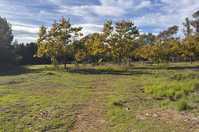 Terrain  480000 €