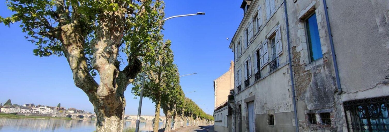 Maison 7 Pièces 316 m² à vendre à Gien (45500)