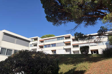 Appartement 3 pièces 900 €