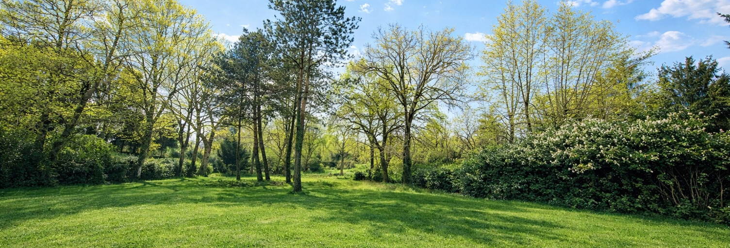 Terrain  11263 m² à vendre à Bénesse-Maremne (40230)