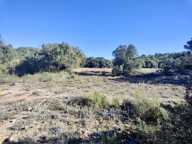 Terrain à vendre de 15305  CARLENCAS ET LEVAS (34) — photo 4