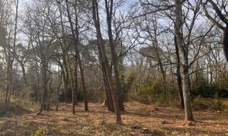Terrain  1000 m² à vendre à Landiras (33720)