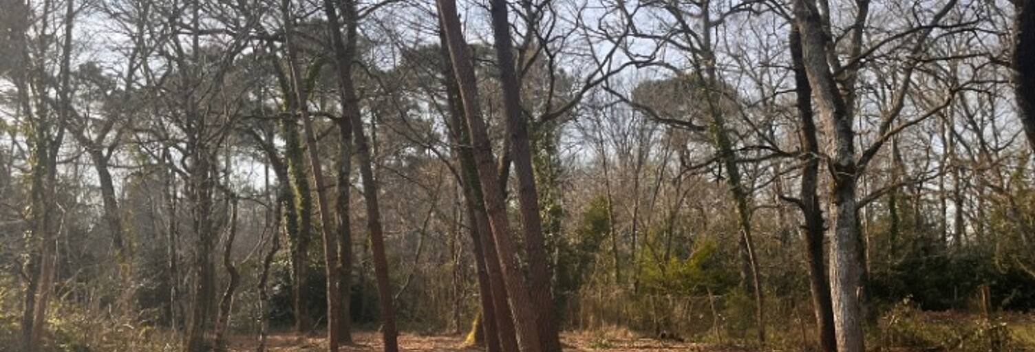 Terrain  1000 m² à vendre à Landiras (33720)