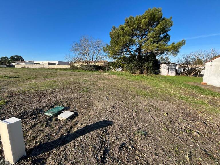 Terrains À Vendre — photo 1