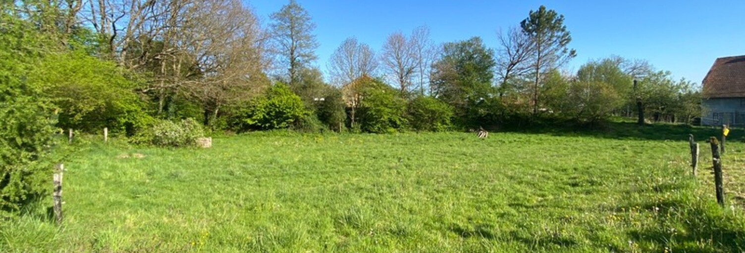 Terrain  1200 m² à vendre à Montreux-Château (90130)