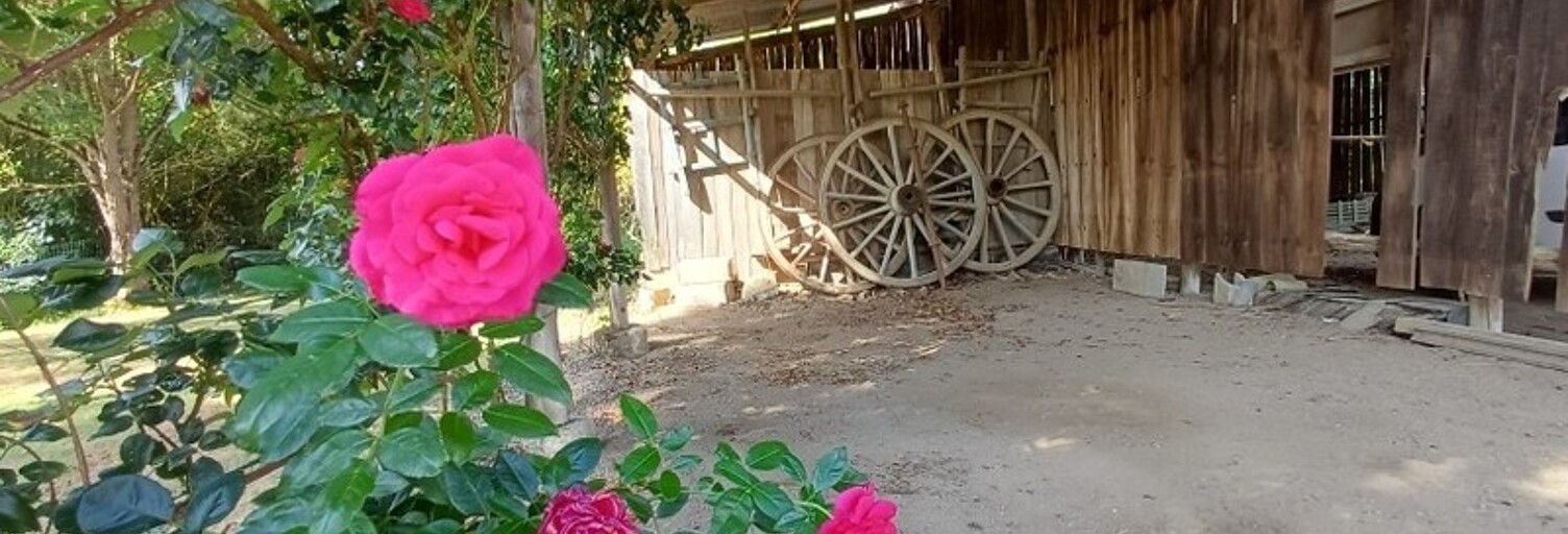 Maison 13 Pièces 250 m² à vendre à Gennes-Val-de-Loire (49160)