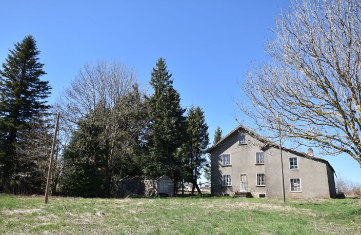 Maison à vendre 9 pièces LES VASTRES (43) — photo 4