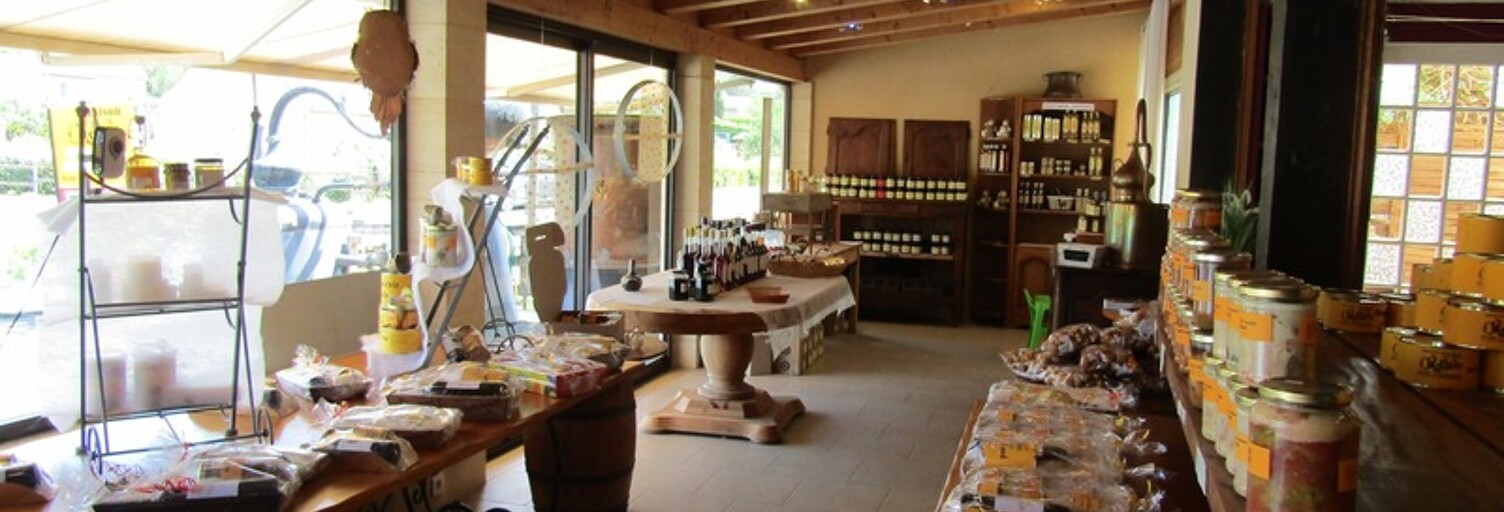 Commerce 3 Pièces 450 m² à vendre à La Roque-Gageac (24250)