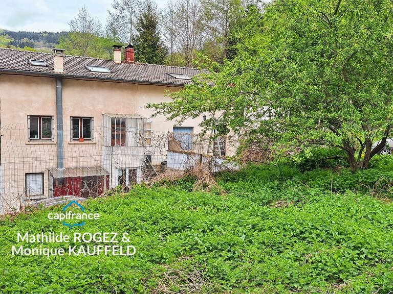Immeuble à vendre SAINT MARTIN DES OLMES (63) 4 appartements avec 1,2 hectare de terrain — photo 1