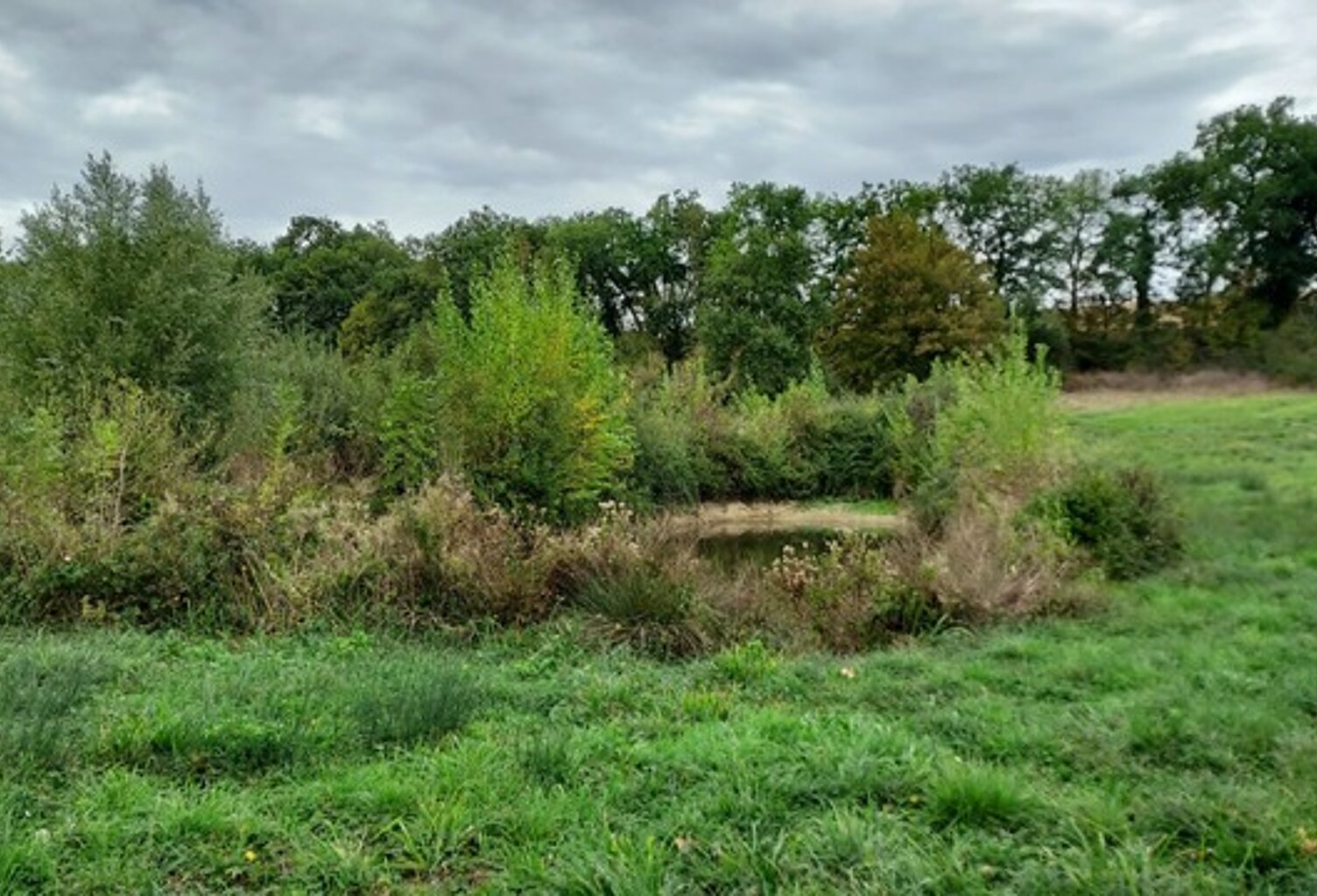Dpt Gers (32), à vendre GIMBREDE Terrain de loisirs à la campagne avec lac privé – Idéal pour la détente en pleine nature — photo 1