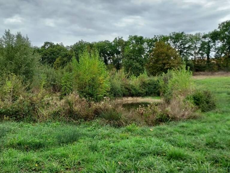 Dpt Gers (32), à vendre GIMBREDE Terrain de loisirs à la campagne avec lac privé – Idéal pour la détente en pleine nature — photo 1