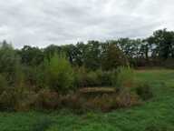 Dpt Gers (32), à vendre GIMBREDE Terrain de loisirs à la campagne avec lac privé – Idéal pour la détente en pleine nature — photo 3
