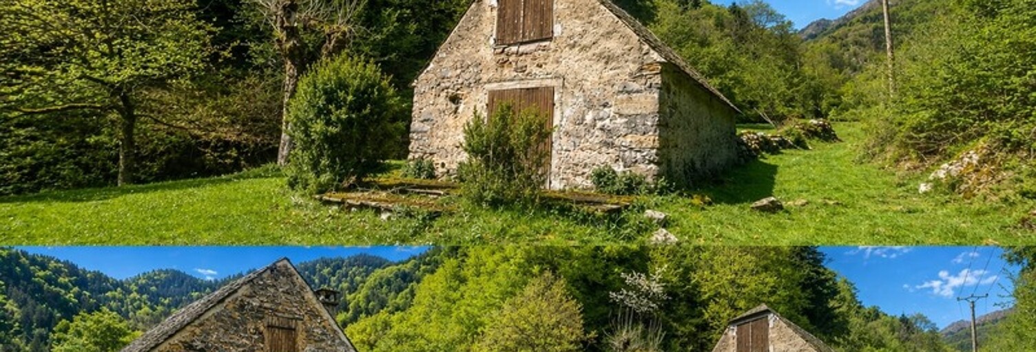 Photo N° 2