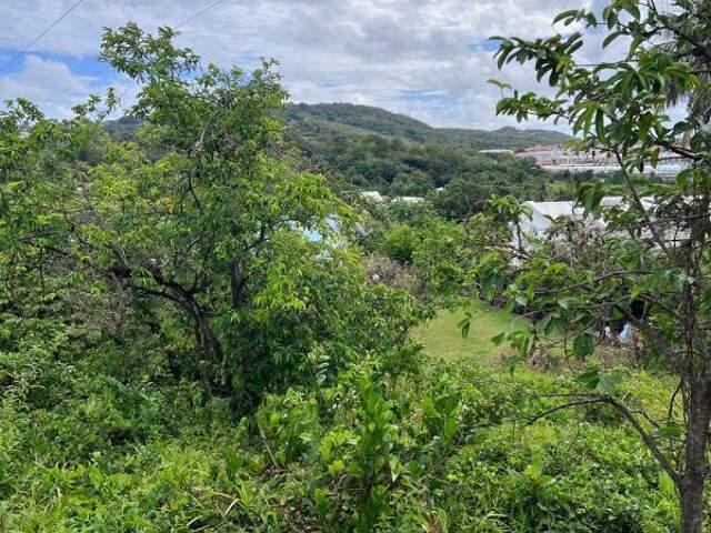 Terrain À Vendre sur LE ROBERT — photo du bien
