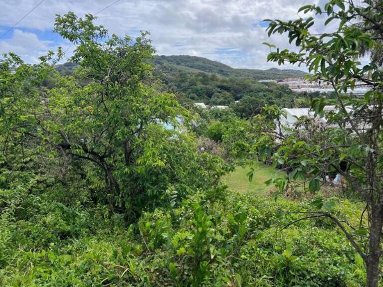 Terrain À Vendre sur LE ROBERT — photo 1