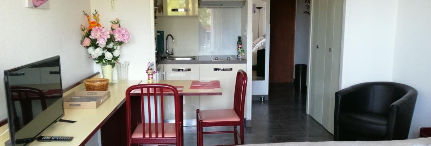Appartement 1 Pièce 23 m² à vendre à Dax (40100)