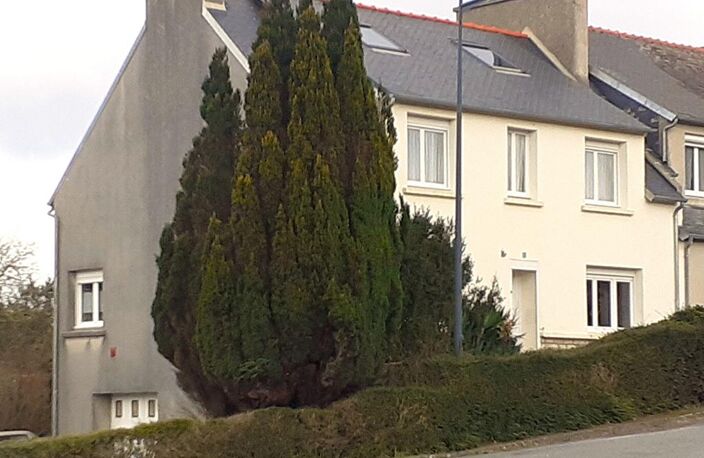 29560 TELGRUC sur MER      Maison 6 chambres — photo 3