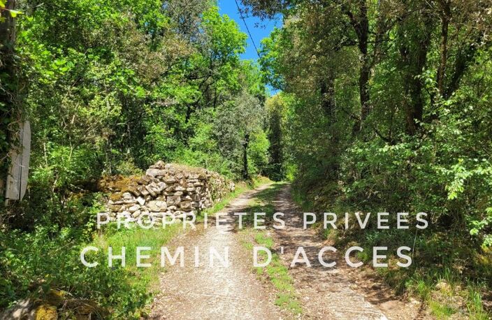 Une propriété volontairement à l'écart, pour ceux qui privilégient le silence, la discrétion et un cadre naturel préservé. 4 chambres. Terrain environ 1 hectare — photo 5