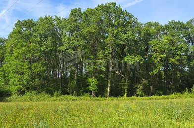 Terrain  30000 €