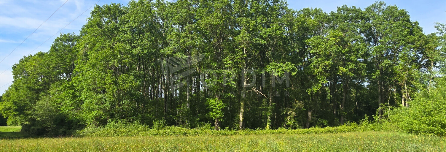 Terrain  9309 m² à vendre à La Celle-sur-Loire (58440)